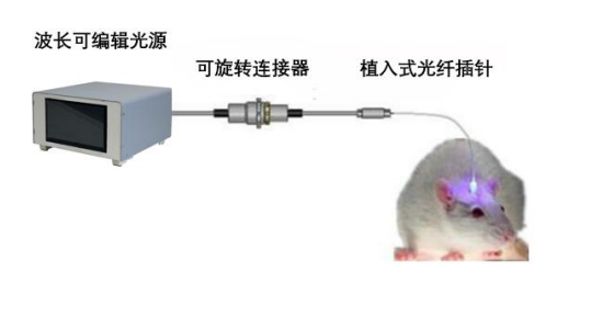 波形自由编辑光源